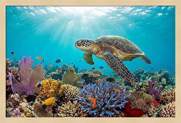 Majestic Green Sea Turtle Gliding