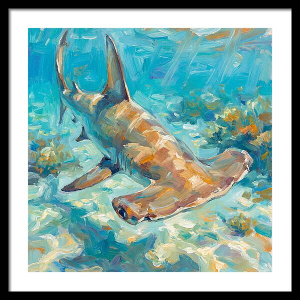 Majestic Hammerhead Shark Encounter