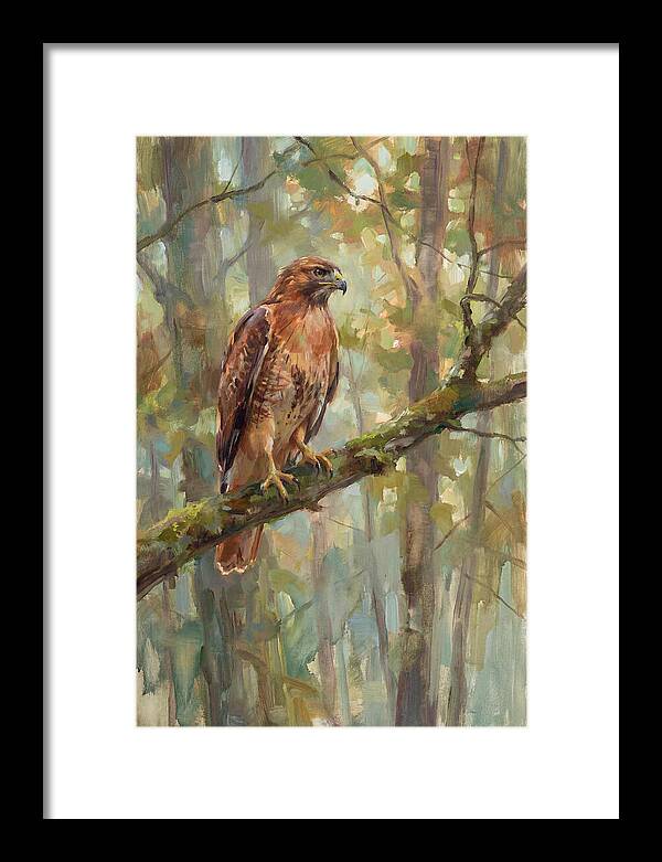 Majestic Hawk In Nature