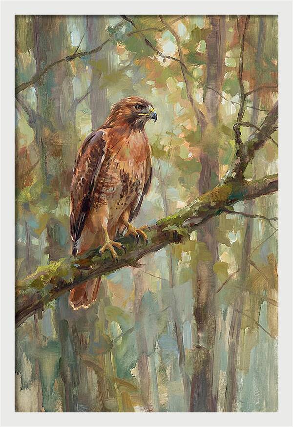 Majestic Hawk In Nature