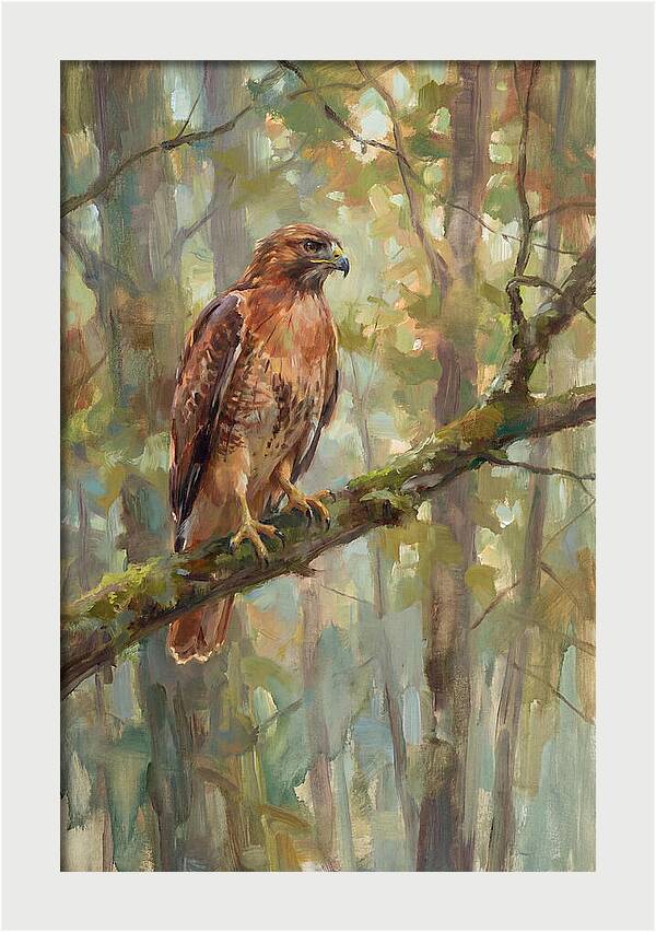 Majestic Hawk In Nature