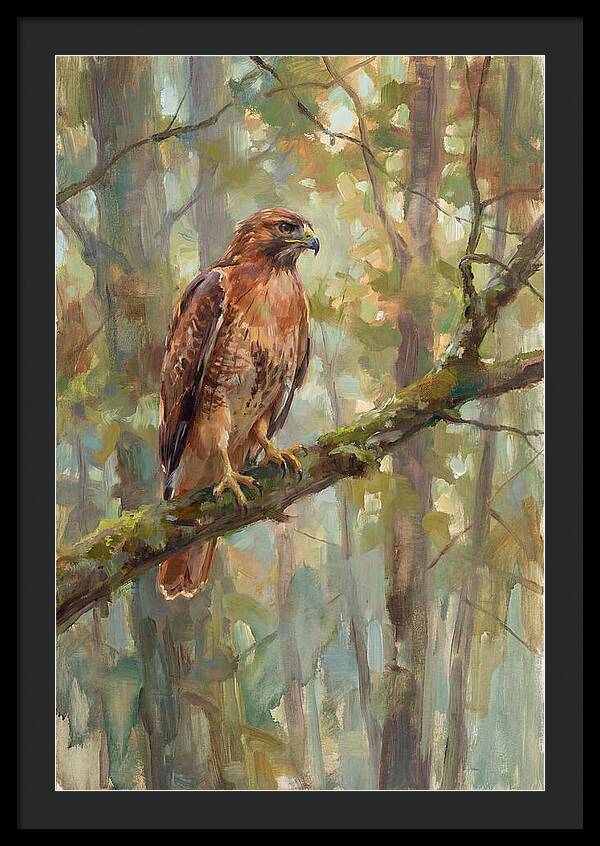 Majestic Hawk In Nature