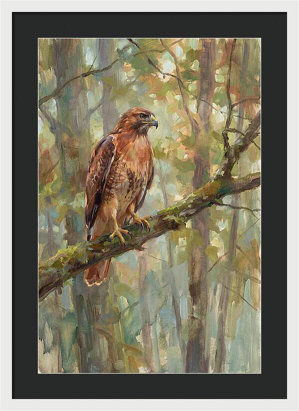 Majestic Hawk In Nature