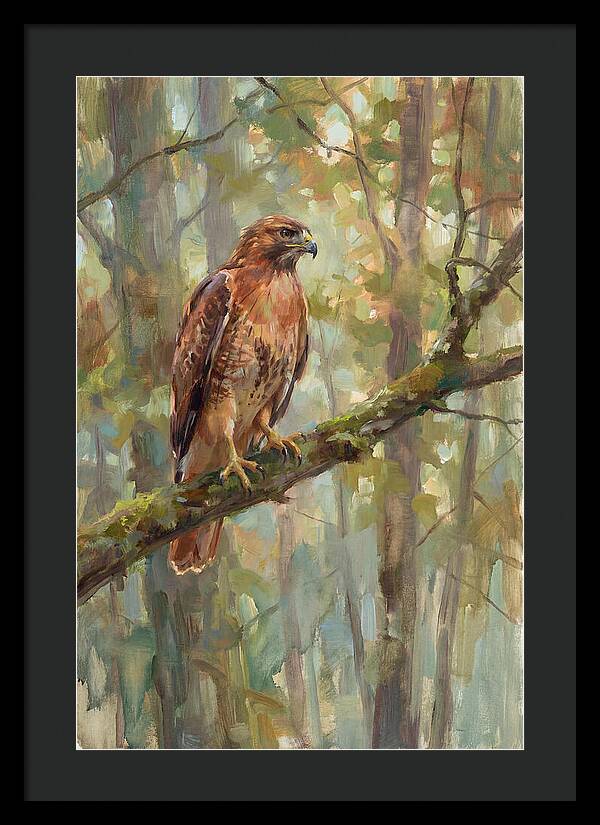 Majestic Hawk In Nature