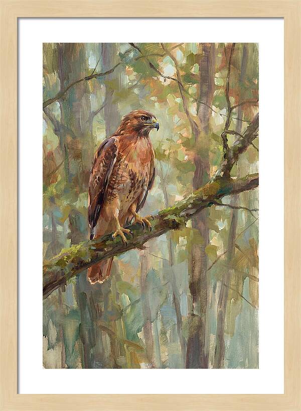 Majestic Hawk In Nature