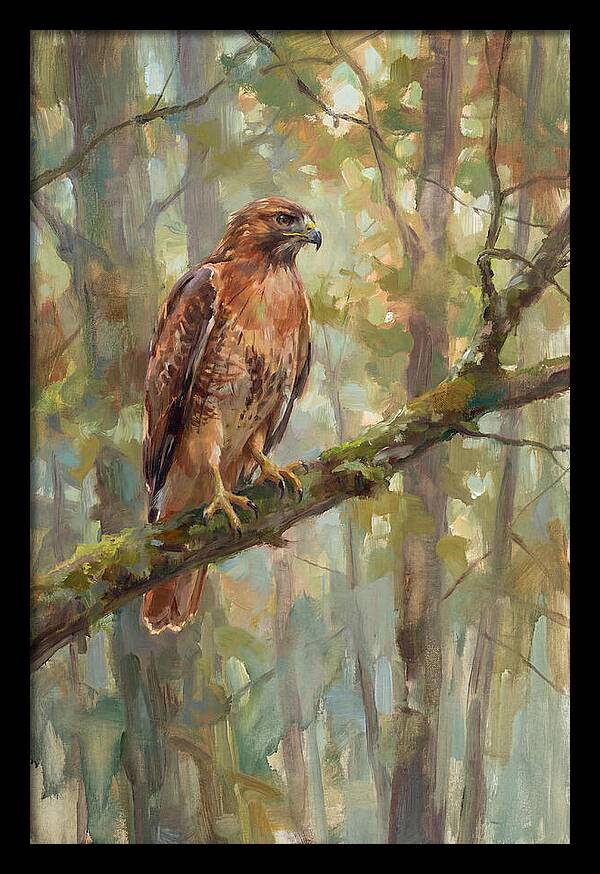 Majestic Hawk In Nature