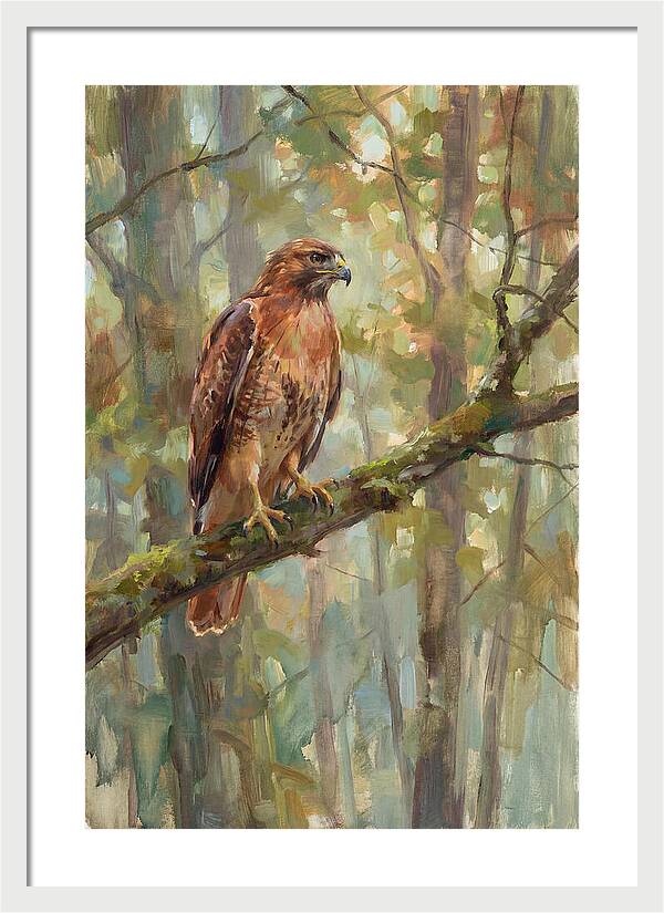 Majestic Hawk In Nature