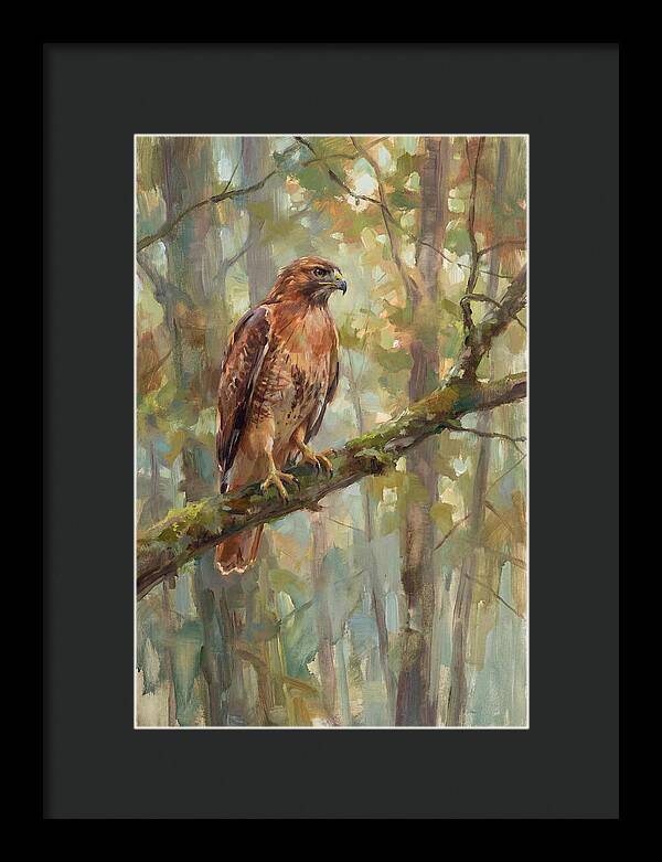 Majestic Hawk In Nature