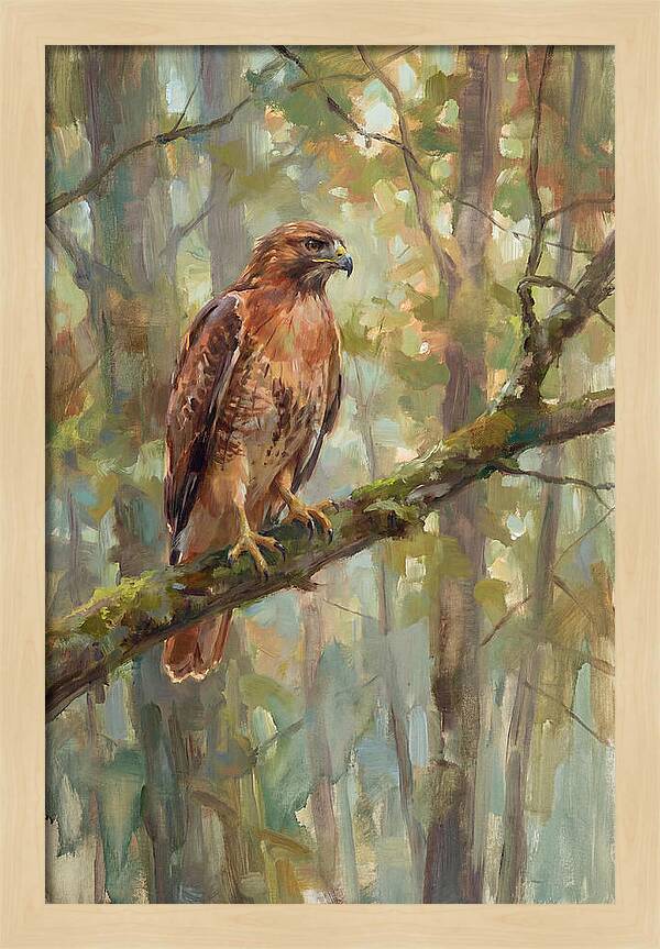 Majestic Hawk In Nature
