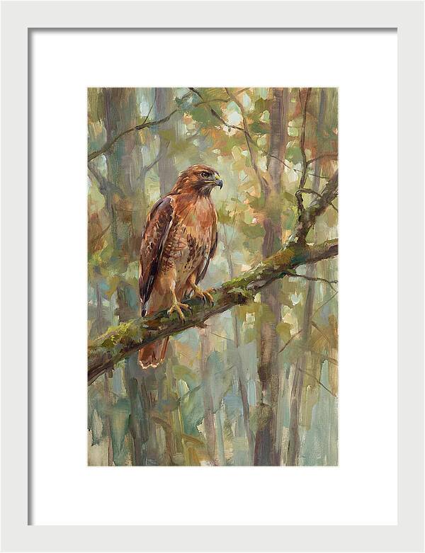 Majestic Hawk In Nature