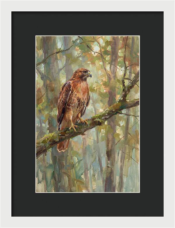 Majestic Hawk In Nature