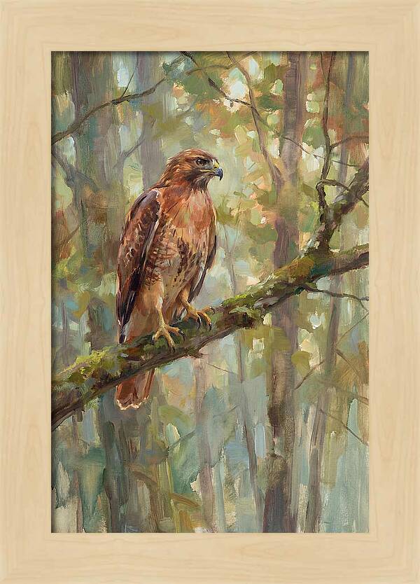 Majestic Hawk In Nature
