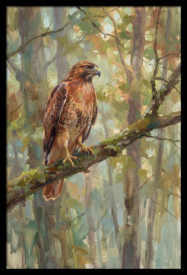 Majestic Hawk In Nature