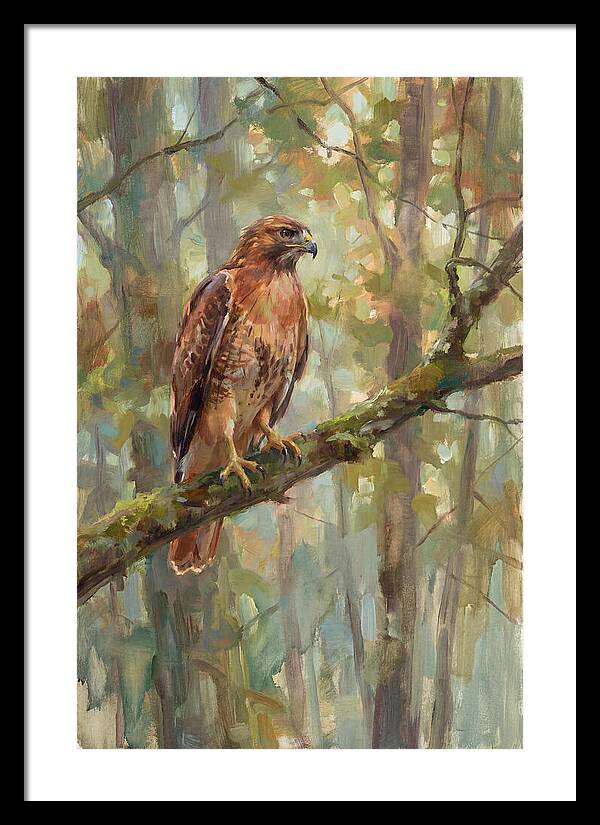 Majestic Hawk In Nature