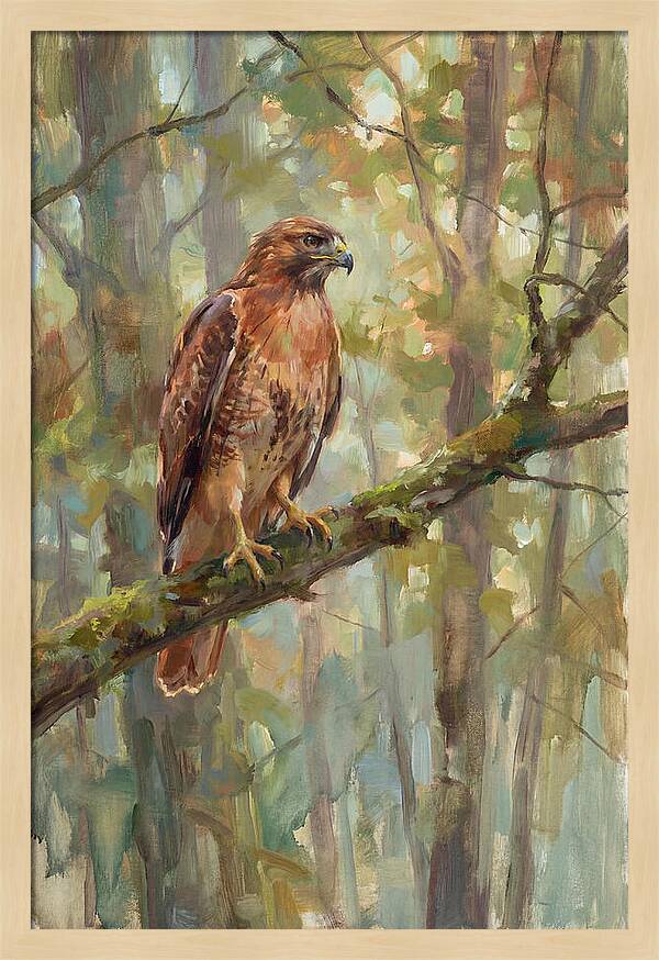 Majestic Hawk In Nature