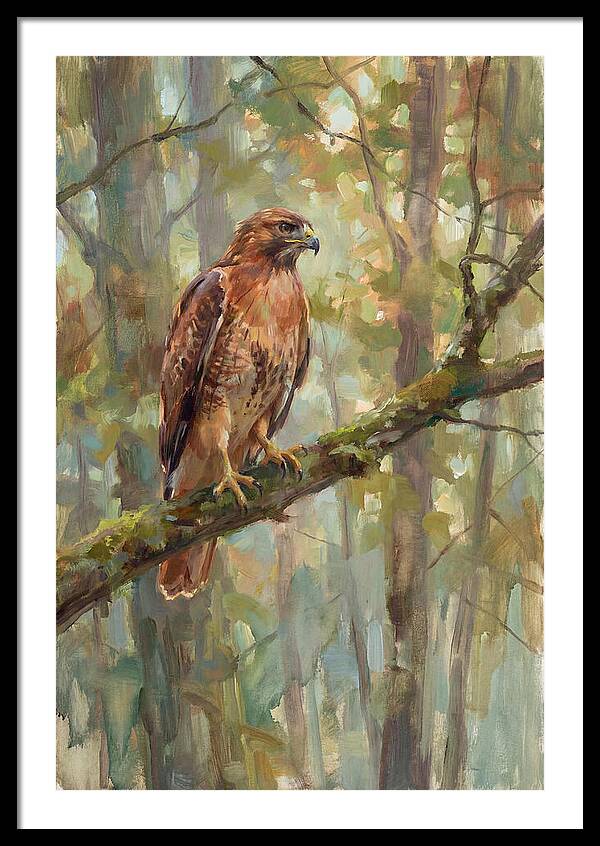 Majestic Hawk In Nature