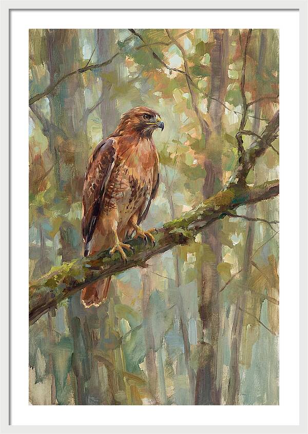 Majestic Hawk In Nature