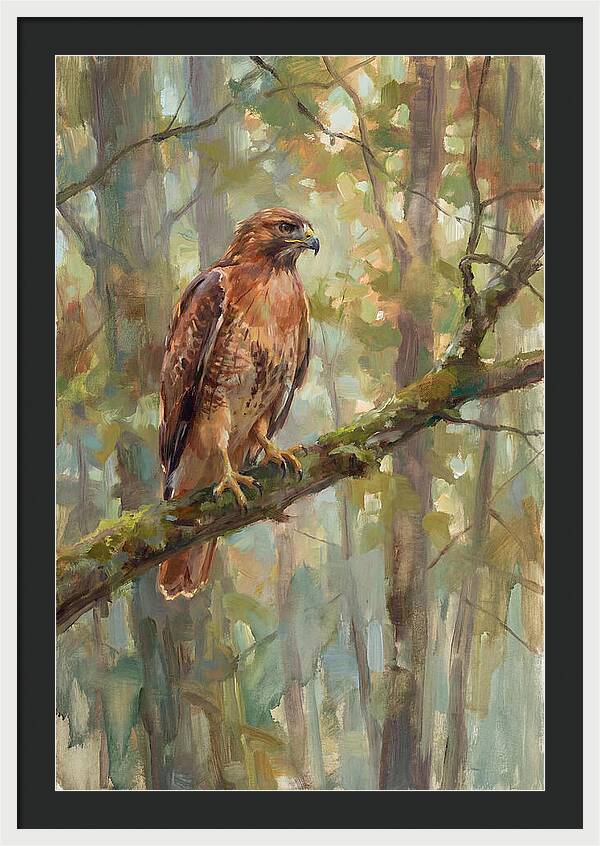 Majestic Hawk In Nature