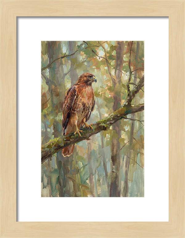 Majestic Hawk In Nature