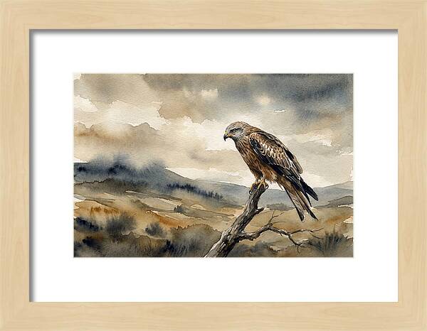 Majestic Hawk Overlooking Landscape