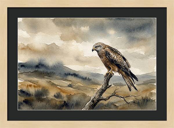 Majestic Hawk Overlooking Landscape