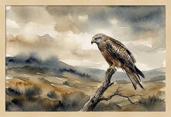 Majestic Hawk Overlooking Landscape