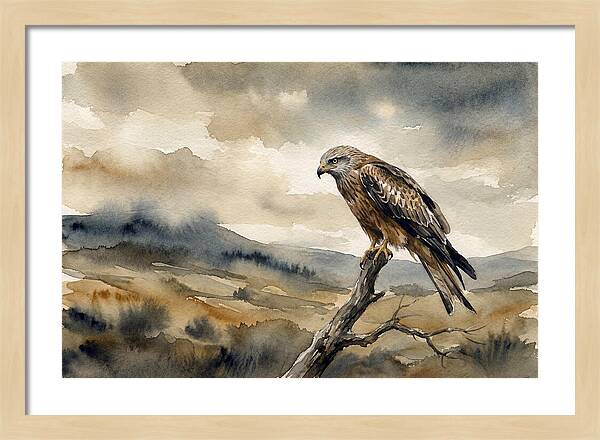 Majestic Hawk Overlooking Landscape