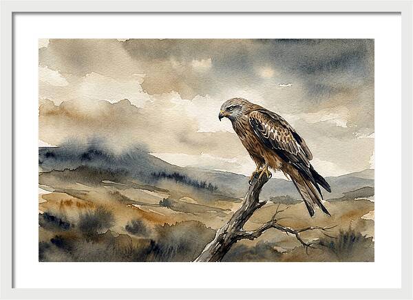 Majestic Hawk Overlooking Landscape