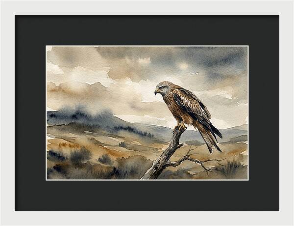 Majestic Hawk Overlooking Landscape