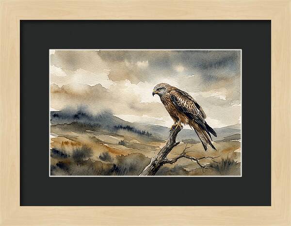 Majestic Hawk Overlooking Landscape