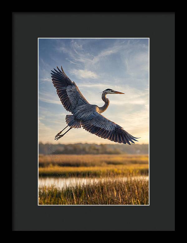Majestic Heron Soaring Above