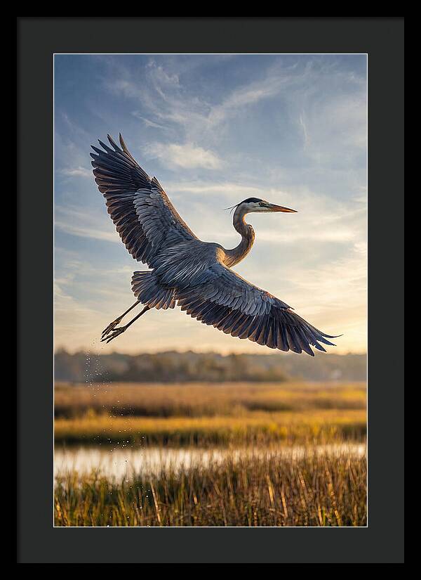 Majestic Heron Soaring Above