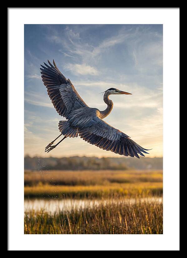 Majestic Heron Soaring Above