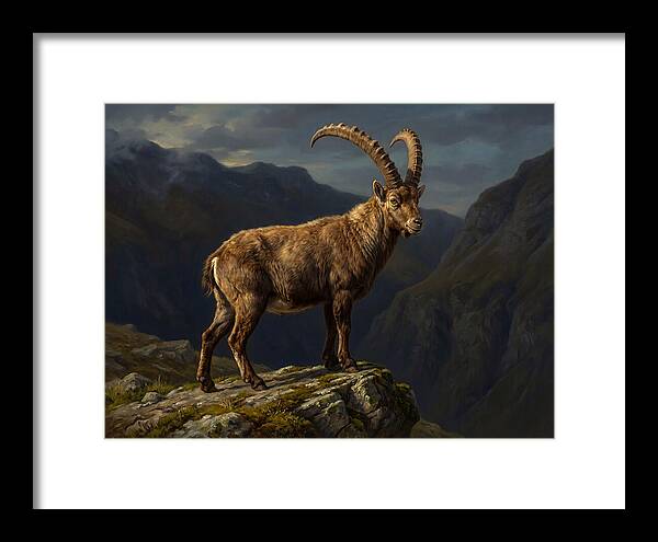 Majestic Ibex On Rocky Outcrop