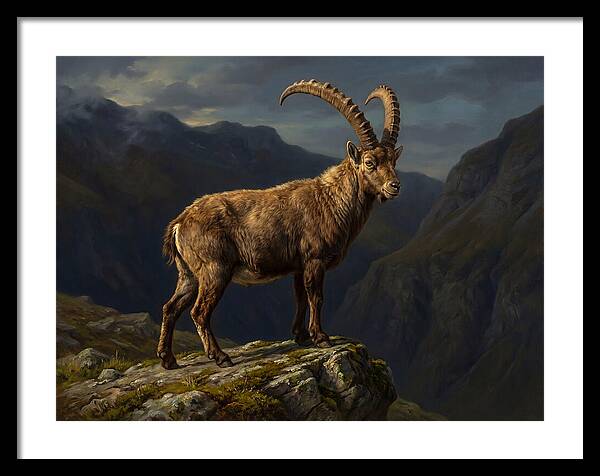 Majestic Ibex On Rocky Outcrop
