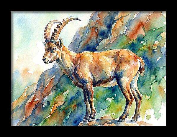 Majestic Ibex On Rocky Terrain