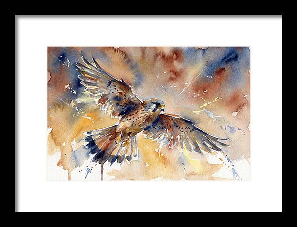 Majestic Kestrel Soaring