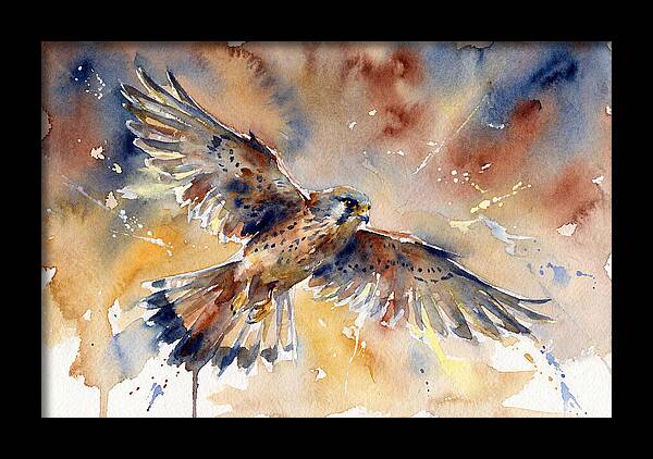 Majestic Kestrel Soaring