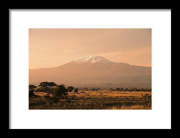 Majestic Kilimanjaro At Dusk
