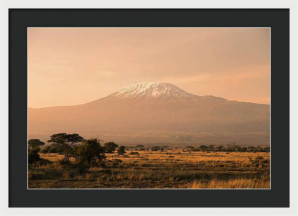 Majestic Kilimanjaro At Dusk