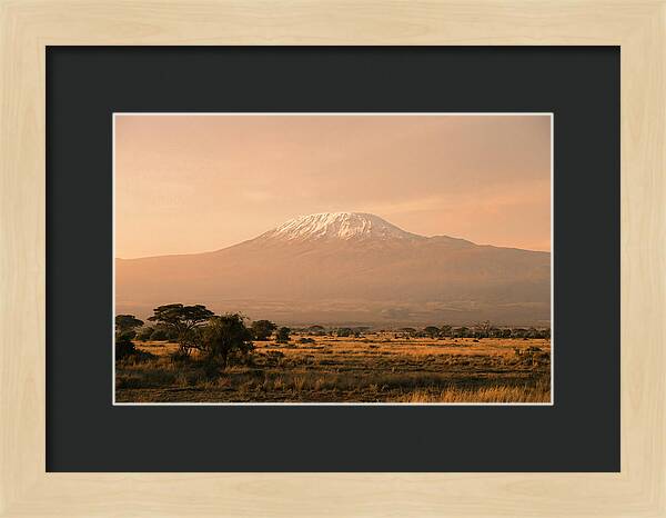 Majestic Kilimanjaro At Dusk