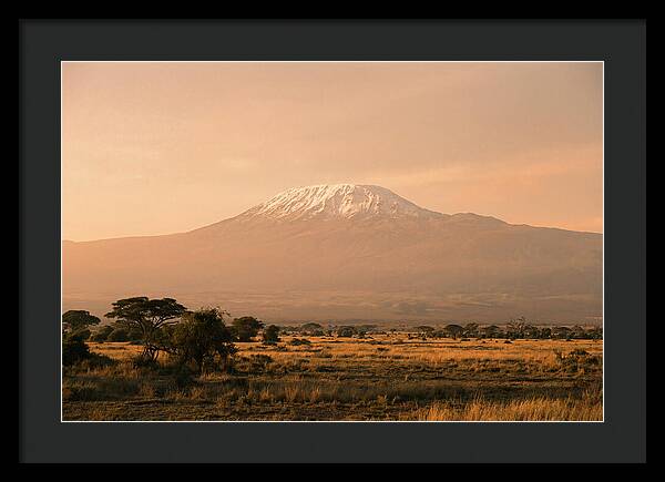Majestic Kilimanjaro At Dusk