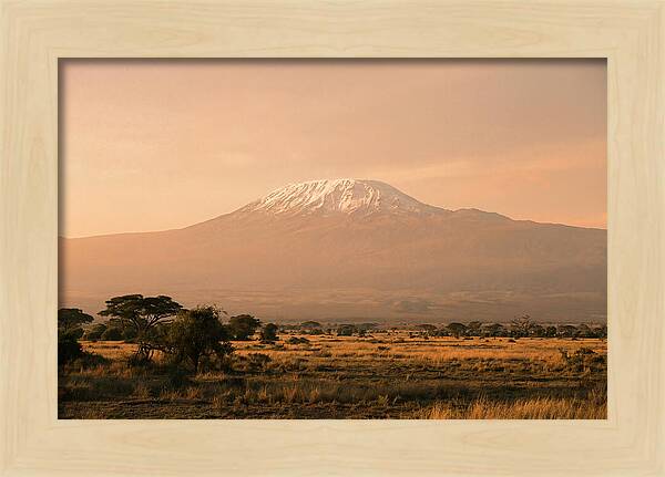 Majestic Kilimanjaro At Dusk