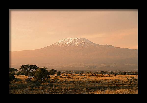 Majestic Kilimanjaro At Dusk