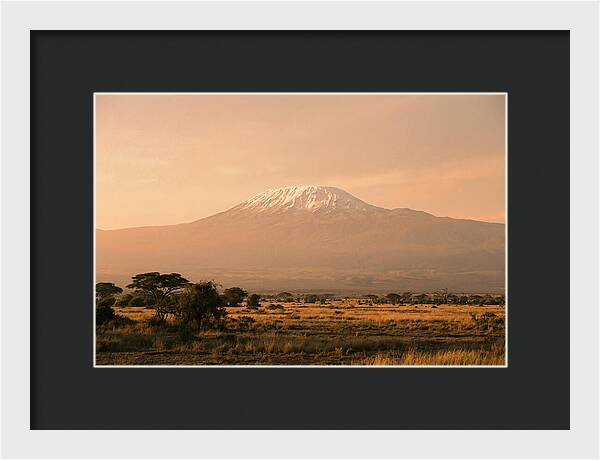 Majestic Kilimanjaro At Dusk