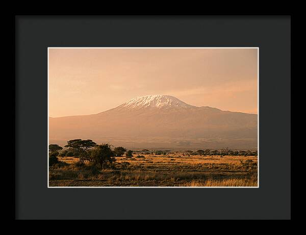 Majestic Kilimanjaro At Dusk