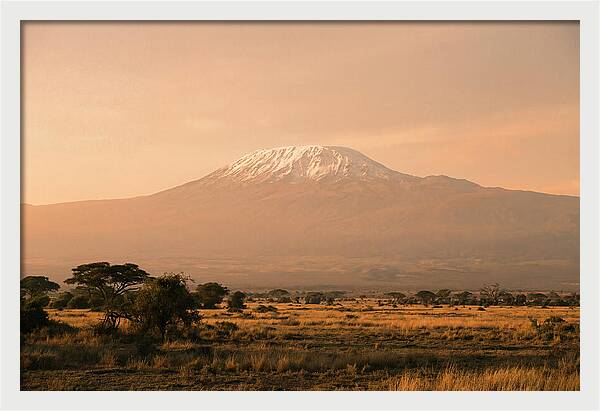 Majestic Kilimanjaro At Dusk