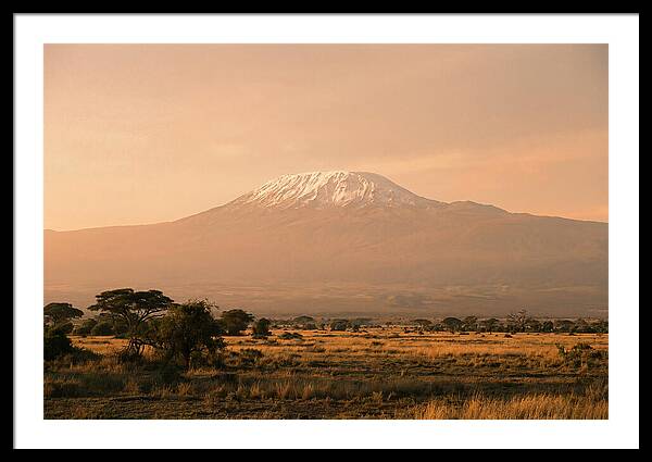 Majestic Kilimanjaro At Dusk