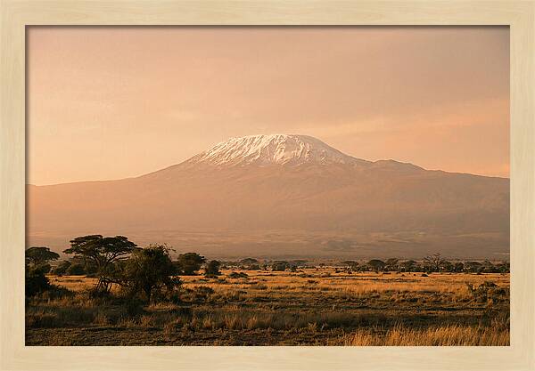 Majestic Kilimanjaro At Dusk