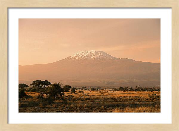 Majestic Kilimanjaro At Dusk
